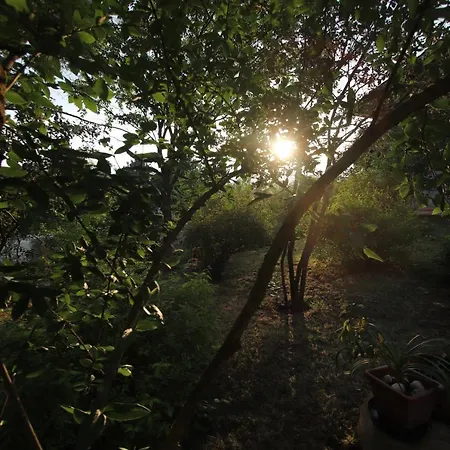 La Casa nel Bosco-3