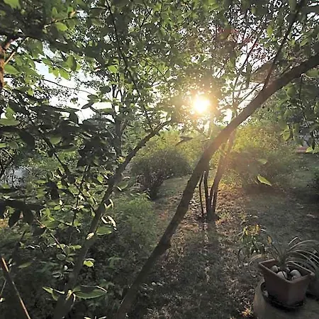La Casa nel Bosco-2